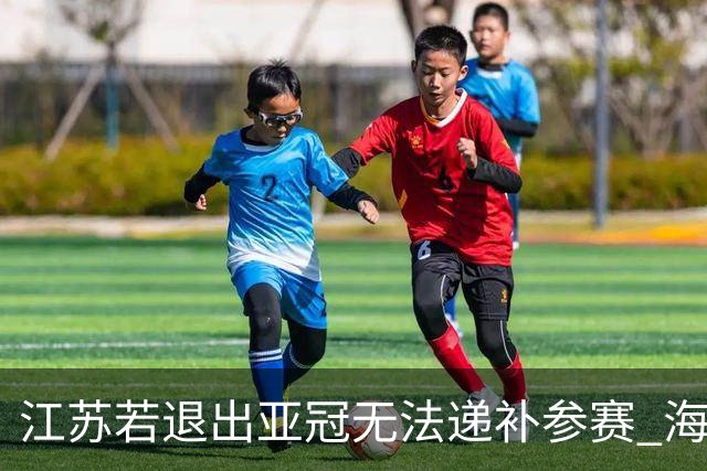 江苏若退出亚冠无法递补参赛 海港仍要先踢附加赛